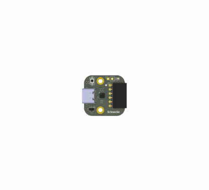 Schnecke Slow Programmer